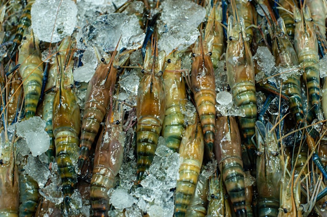 Raw Frozen Shrimp